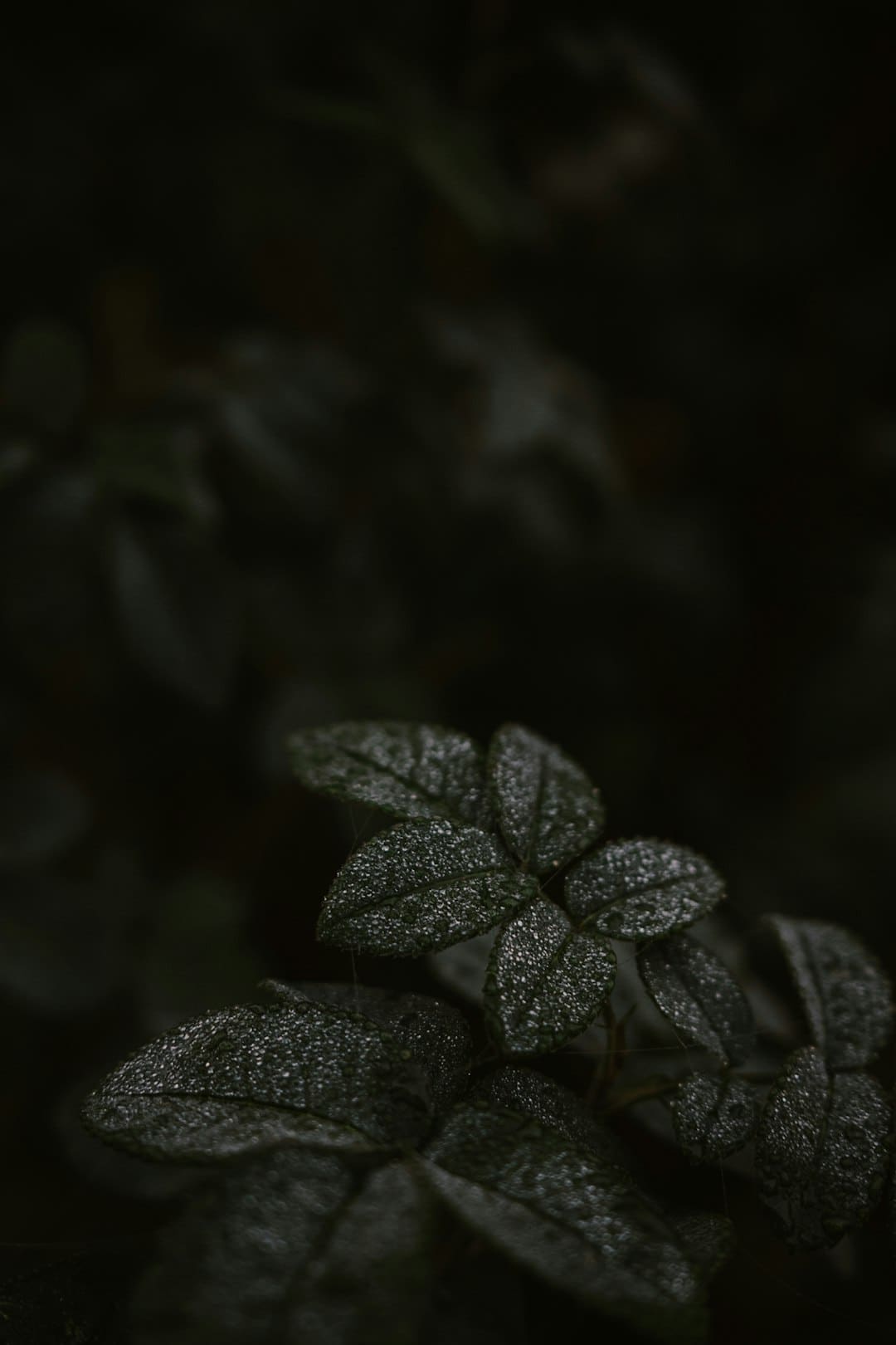 谁撑起暑期档100亿票房？
